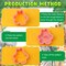16-Piece Animal Cookie Cutter Set – 3D Jungle & Safari Cookie Plunger Stamps, DIY Press Molds for Baby Shower, Birthday, Party Baking, Clay & Biscuit Crafts
